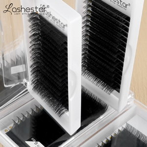 Lashestar Private Label Seiden-Wimperntrays Großhandel Individuelle Volumen-Wimpernverlängerungen Vegan 0,03 0,05 16-20mm Seidenwimpern - Product Image 2
