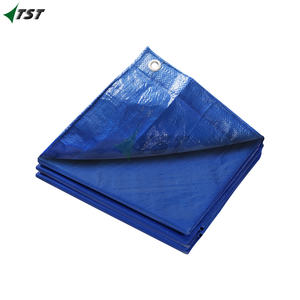 Lona Impermeable Exterior 3x3m 180g Lona de Proteccion Toldo Reforzado PE con Ojales/configurador lonas para remolque - Product Image 6