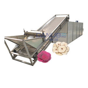 Déshydrateur tunnel haute capacité en acier inoxydable pour légumes et fruits - Product Image 1