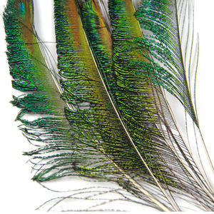 Fil de plume Herl de paon vert Olive naturel pour appâts de pêche à la mouche et nymphes Streamer accessoires de mouches - Product Image 3