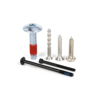 Custom High Precision Stainless Steel Screw Industrial Grade Anti corrosion Stainless Steel Fastener For Electronic Equipment