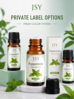 Huile Essentielle de Menthe Poivrée Marque Blanche 10mL Arôme Menthe Fraîche Aromathérapie Massage Soins Corporels Fabricant OEM ODM Personnalisé