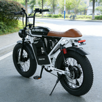 Bicicleta Eléctrica Todoterreno de 500w 48V, Venta Caliente de Fábrica China, Bicicleta Eléctrica de Montaña de 2 Plazas con Neumáticos Anchos
