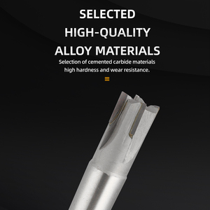 High Precision Morse Taper Shank <strong>Carbide</strong> <strong>Mill</strong> Cutter Straight Edge <strong>End</strong> <strong>Mill</strong> with OEM Customization Support - Product Image 2