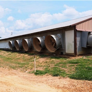 Thương Mại Đúc Sẵn Kết Cấu Thép Gà Thịt Nhà Gà Nhà Gà Nhà Xây Dựng - Product Image 1