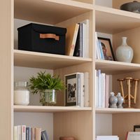 Boîte de Rangement Souvenir en Tissu Non-Tissé avec Couvercle Rabattable, Pliable et Empilable, Poignée Avant pour Armoire, Sac, Télécommande