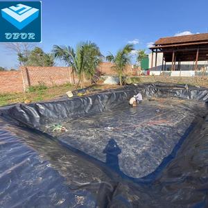 Revestimiento de plástico HDPE para estanque de peces, membrana impermeable, Geomembrana, precio de 2mm - Product Image 2