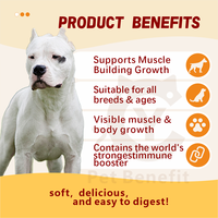 Complément alimentaire pour chiens en marque privée, à croquer, pour le gain musculaire, avec BCAA, haute teneur en protéines, absorption rapide, pour chiens de travail et de spectacle - toutes races et âges
