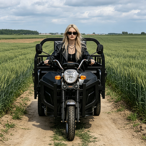 2026 BEIHAI Tricycle Supercar à Trois Roues Économique Mini 60V 2000W Scooter Tricycle Passager à 3 Roues pour Adultes - Product Image 1