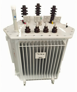 Transformador S13 Sumergido en Aceite con Certificación CE, 30-2500kVA, 10kV/35kV, Trifásico, Aleación Amorfa, Baja Pérdida, 50/60Hz, Toroidal - Product Image 5