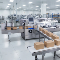 Unité de chargement automatique de cartons horizontaux/verticaux pour des lignes d'emballage efficaces