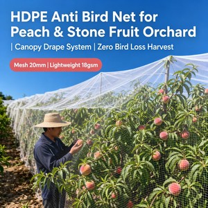 Filet anti-<span class=keywords><strong>oiseaux</strong></span> réutilisable en HDPE blanc, maille de 16mm-25mm, qualité alimentaire, pour fruits rouges (fraises, myrtilles), <span class=keywords><strong>protection</strong></span> intégrale - Product Image 3