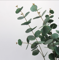 Haute qualité Real Touch Latex longue tige Eucalyptus feuilles artificielles longues tiges fleurs pour mariage ou décor de noël