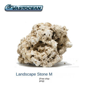 16-20KG Großhandel Natürlicher Korallenfossil-Stein Kunststoff-Aquarium-Deko Fischbecken-Felsen <span class=keywords><strong>Terrarium</strong></span> Reptilien-Landschaftsgestaltung Großpackung VASTOCEAN - Product Image 6