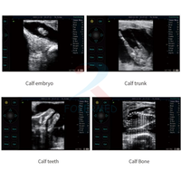 Ecógrafo Veterinario Digital Completo, Pantalla Táctil HD de 8 Pulgadas, Escáner Veterinario Portátil para Diagnóstico de Mascotas de Alta Resolución