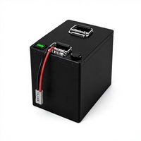 Paket Baterai Lithium OEM ODM 60V 30Ah untuk Sepeda Listrik, Skuter Listrik, Sepeda Motor Listrik, Becak Listrik, dan Kendaraan Listrik