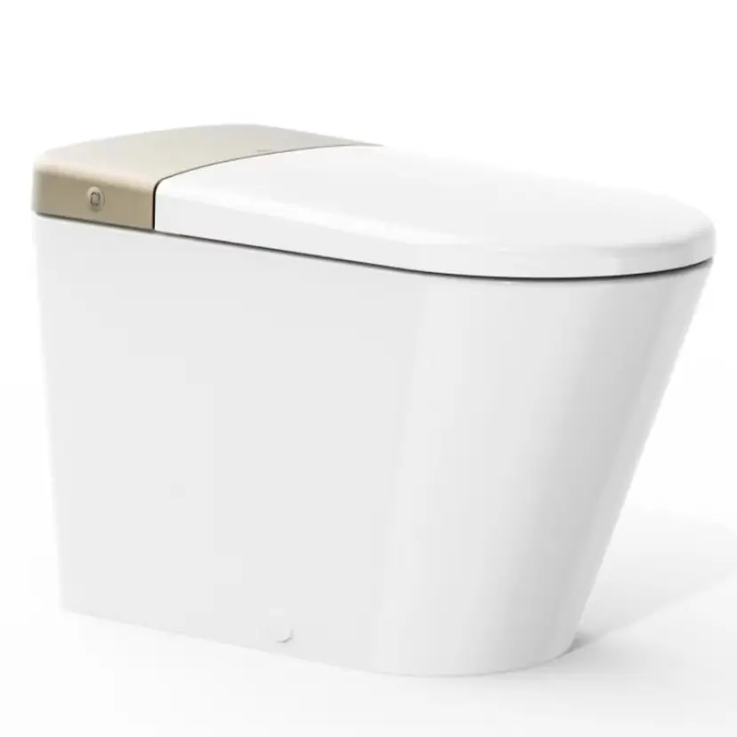 AXENT L1 Smart Toilet With Cheap Price Tankless Smart Toilet