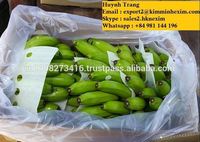 Banane Cavendish verte biologique variété de plantain frais WhatsApp + 84 981 144 196