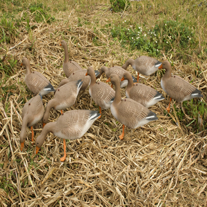 Appeaux de chasse en gros, appeaux de canard, appeaux de canard à poitrine tachetée, appeaux de chasse sauvage, appeaux de canard souples - Product Image 6