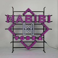 Enseigne LED néon 3D personnalisée en aluminium pour la décoration du salon et des fêtes