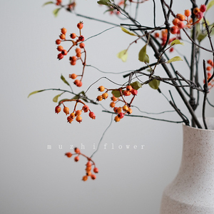 Hoa giả bán buôn số lượng lớn, cành quả mọng đỏ, hoa giả mô phỏng trái cây, trang trí Giáng sinh, trang trí nhà cửa ngày lễ - Product Image 2