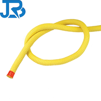Yüksek Mukavemetli Örgülü Aramid Elyaf Halat 10mm 12mm 16mm Isıya Dayanıklı Aşınmaya Dirençli Kevlar Kaldırma ve Askı Kullanımı İçin