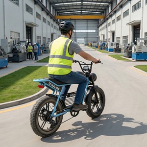 Hoogwaardige, klaar voor gebruik in de stad, elektrische fiets met hoge dekking, 48V 16Ah accu, utiliteitsfiets voor fabriekbezoekers en tourroutes. - Product Image 5
