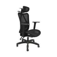 Chaise de bureau inclinable ergonomique moderne Appui-tête réglable Confortable Tissu Mesh Executive Ascenseur Chaise PU Roulettes Fer Bureau