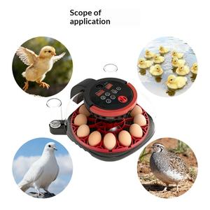 新しいミニホームリモートビジュアル自動卵インキュベータースマート卵回転温度と湿度制御鳩インキュベーター110V/220V - Product Image 4