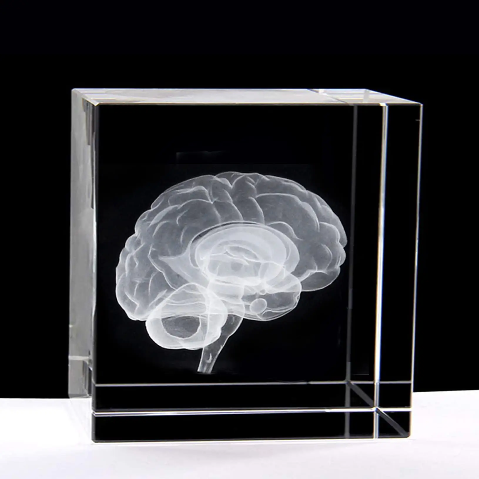 Honor Of Crystal Glass Crystal Cube 3D Human Heart With Labels Anatomical Model Statue Paperweight Crystal Glass Cube