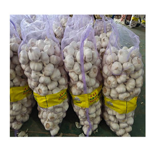 Prix d'usine <span class=keywords><strong>Ail</strong></span> frais chinois <span class=keywords><strong>Éléphant</strong></span> <span class=keywords><strong>Ail</strong></span> blanc pur - Product Image 3