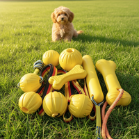 LY EVA – Nouvelle balle de sport écologique et simple pour chien, indestructible, pour le nettoyage des dents, résistante aux morsures, pour mâcheurs agressifs, interactive