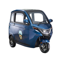 Voiture électrique à cabine fermée New Energy Mini fourgonnette de mobilité Tuk Tuk à trois roues pour personnes âgées sans batterie