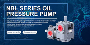 ปั๊ม QT รุ่น QT32-10 10 ซีซี/รอบ NBL2-D10 21Mpa 10-125 ซีซี/รอบ อัตราการไหลต่ำ เสียงรบกวนต่ำ ปั๊มน้ำมันเกียร์แบบเฟืองภายใน - Product Image 4