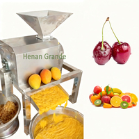 Industriële Fruitpulp Sap Maken Machine Mango Juicer Machine/Groente Fruit Mango Pulper/Automatische Fruit Pulping Machine
