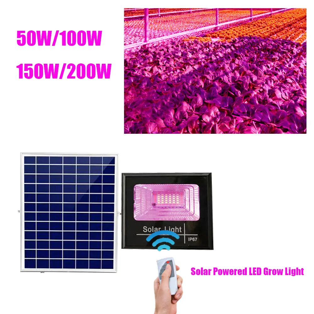 Full spectrum solar grow flood Lights with solar panel 100W Outdoor Indoor hydroponic IP67 Waterproof UV led plant grow lights