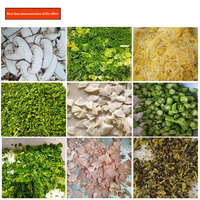 Cortador de Cebolla Verde, Apio y Perejil, Máquina para Cortar Repollo, Chile y Pimiento, Máquina para Rebanar Verduras y Frutas