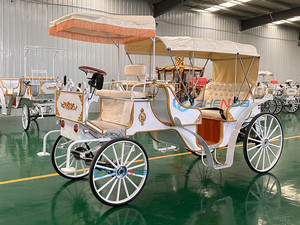Carroza de Caballos de Lujo para Bodas y Paseos Turísticos, Carrozas de Caballos Eléctricas para Maratones en Venta, Carroza para Bodas - Product Image 2