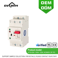 ATS-63A 100A 125A AC690V 2P Commutateur de transfert automatique de type PC certifié CE UE Rail DIN ATS OEM ODM