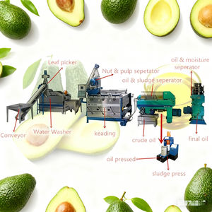 Nouvelle presse à huile d'olive automatique à froid, équipement d'extraction à basse température, huile d'avocat vierge, acier inoxydable, énergie - Product Image 6