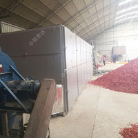 Nieuwe fabrieksdirecte verkoop DW gaasbanddroger met Ti-materiaalmotor voor het drogen van groenten, fruit en gras met automatische bediening