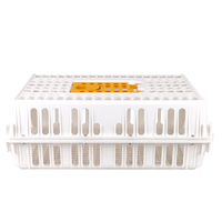 Volaille Plastique Poulet Poussin Poulet Poulet Couche Canard Pigeon Transport Cage Caisse Cas Boîte