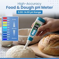 Nouveau pH-mètre 2-en-1 à prix d'usine, testeur de pH et de température pour eau, aliments, cosmétiques, fruits, avec écran LCD rétroéclairé