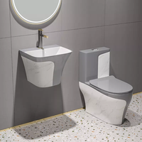 WC de luxe pour salle de bain, à poser au sol, couleurs, toilette monobloc