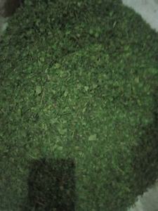 Molokhia Mulukhiyah triturado de alta calidad, semillas frescas, hierbas, especias, jengibre directamente de nuestras granjas en Egipto supervisadas por nuestro equipo - Product Image 3