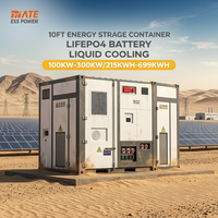 Sistema di Accumulo a Batteria al Litio MATE da 10ft 100kW 215kWh 300kW 699kWh LiFePO4 BESS per Impianti Fotovoltaici in Deserto