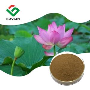 Atacado de Alta Qualidade Nuciferina Grau Alimentício 98% Extrato de Folha de Lótus em Pó Embalagem Tambor 1kg - Product Image 1