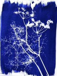 Cyanotype敏化剂艺术套装，用于初学者和艺术家的纸张和织物太阳印刷套装 - Product Image 4