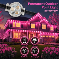 Vente en gros de lumières à points LED imperméables IP68 pour extérieur, 200 pieds, 400 pieds, 500 pieds, UCS2904 RGBW 3 LED, éclairage de Noël permanent