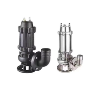Pompe submersible électrique haute pression pour eaux usées, centrifuge en acier inoxydable, 220V/380V, 0,1-10 L/min, 5,5kW, 0,1-10 Bar, automobile